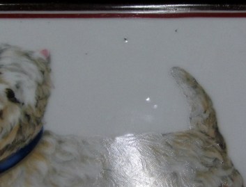 FUENTE PORCELANA TERRIER BLANCO GIONDAMA DI PANGAMS (4)